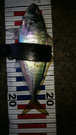 雨の中のピンポイントアジング